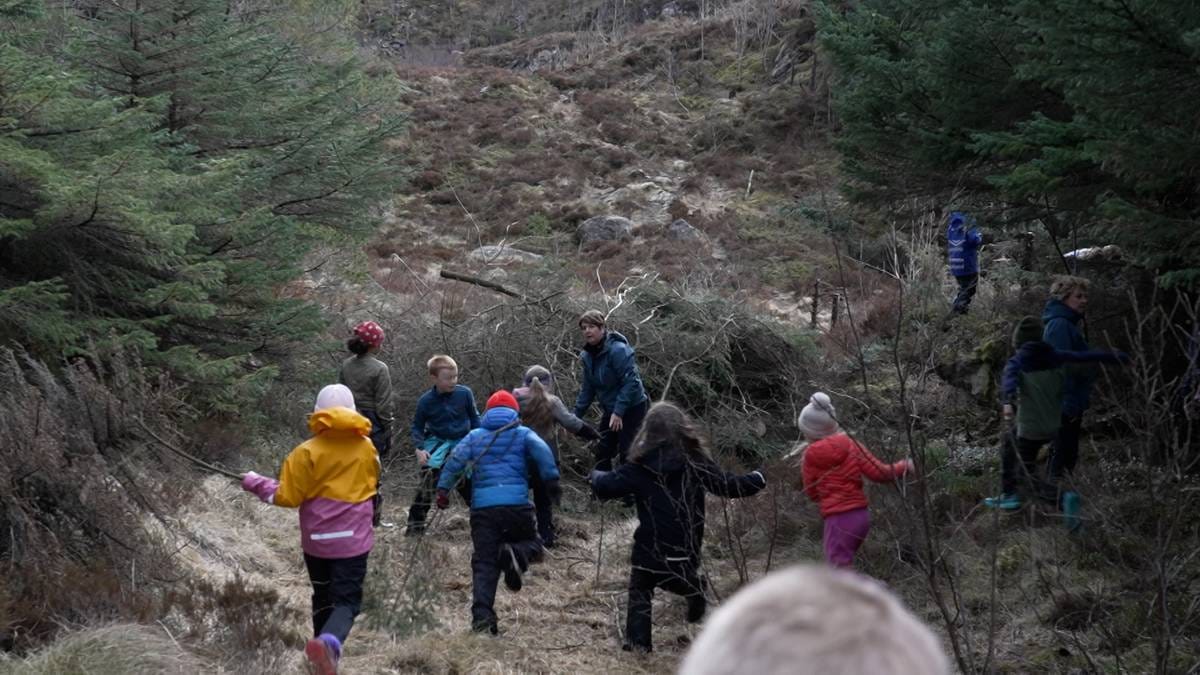 Eit «inn i granskogen» stort problem