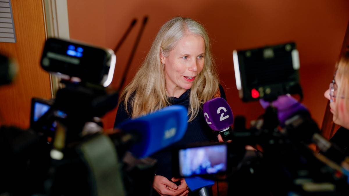 SV-profiler krever oppvask – misnøye med Bergstø