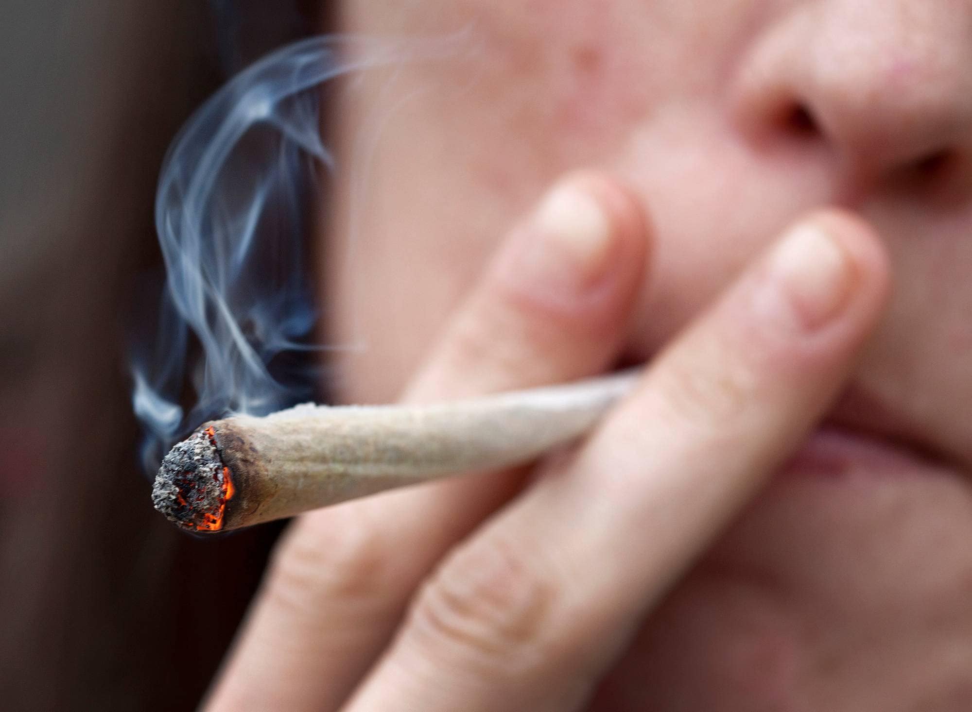 Cannabis illustrasjonsbilde