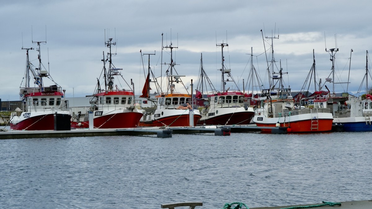 Krav om sporing av alle fiskebåter
