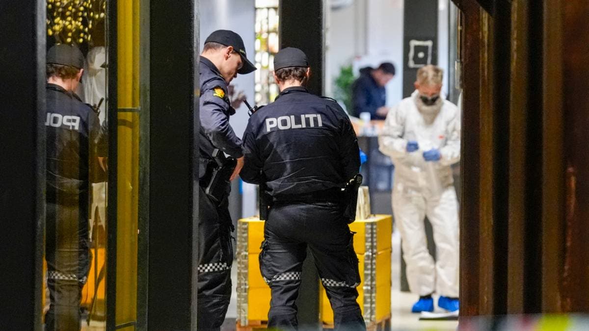 Charged With Attempted Murder After Stabbing at Vulkan in Oslo