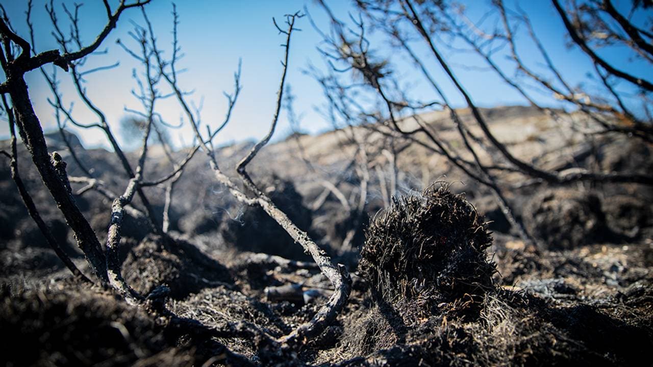 Glør og røyk i terrenget på Kårtveit på Sotra