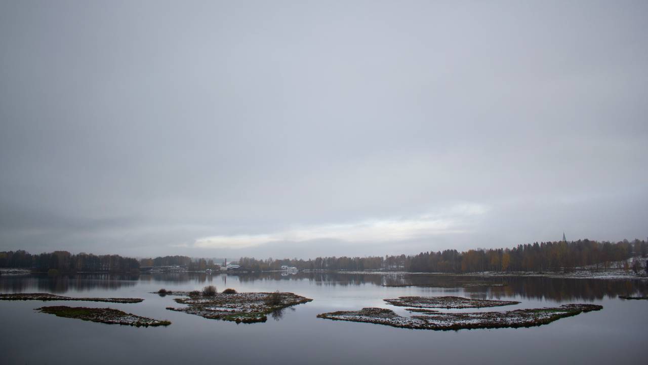 Fuglene trives på gressdekte vollene i Åkersvika.