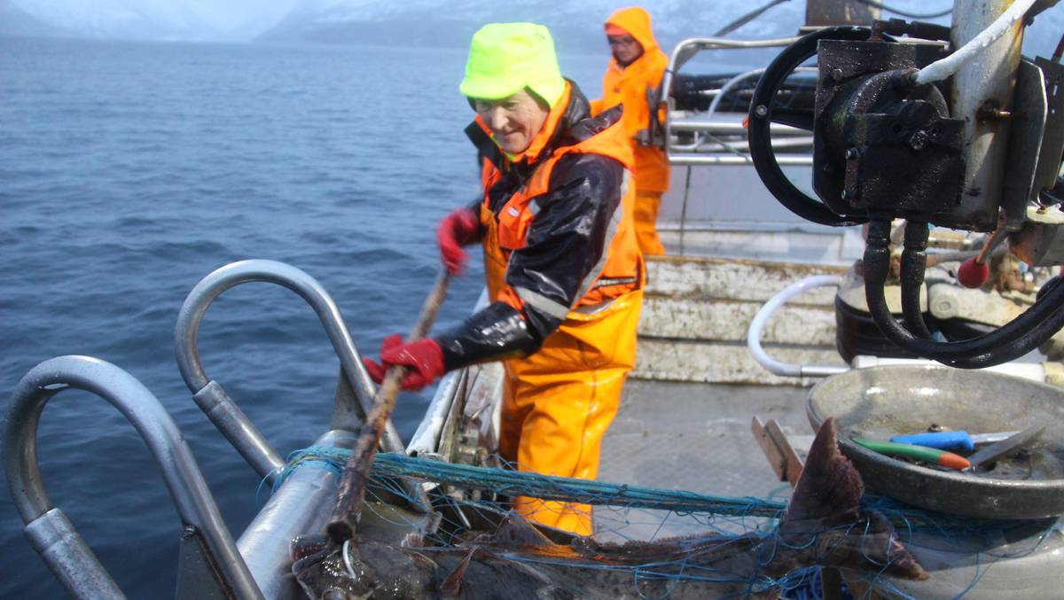Får ikke fiske kveite NRK Nordland
