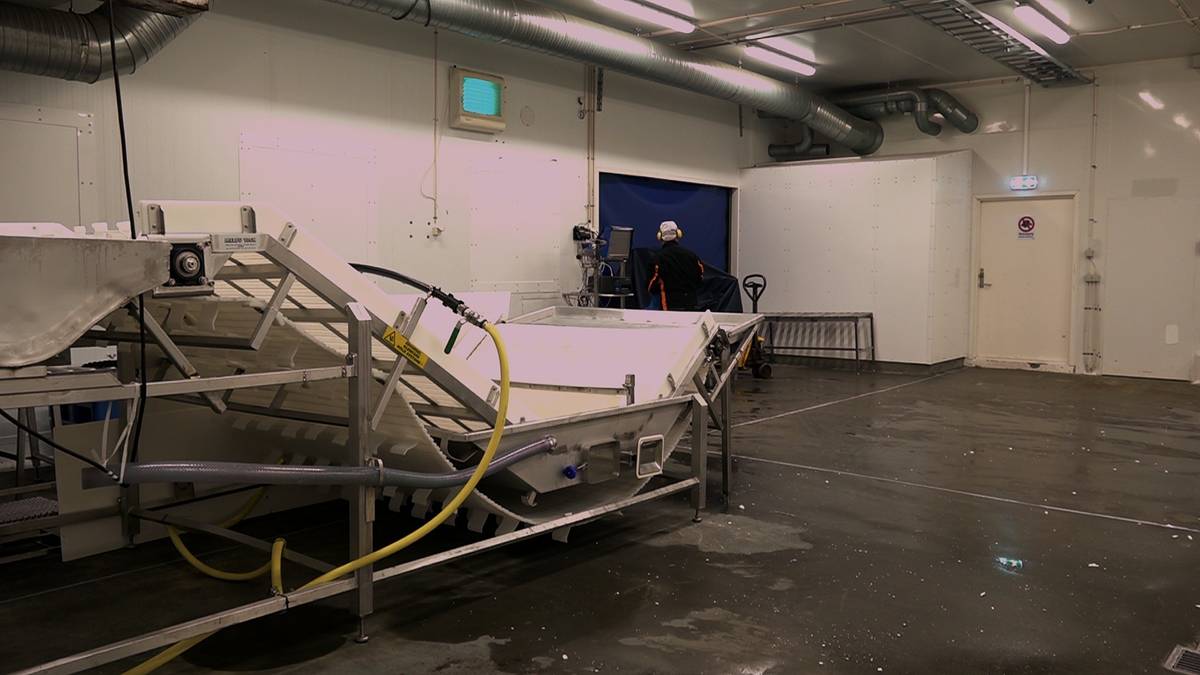 Sa laksen var fra dette slakteriet – men det var ikke i drift