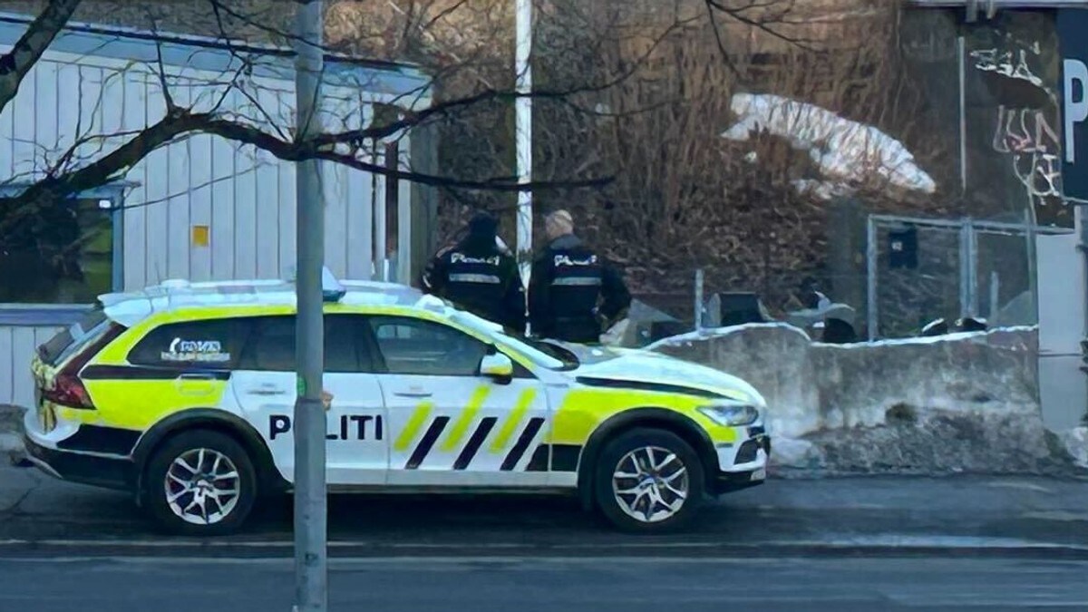 Slått i hodet og ranet av ungdomsgjeng