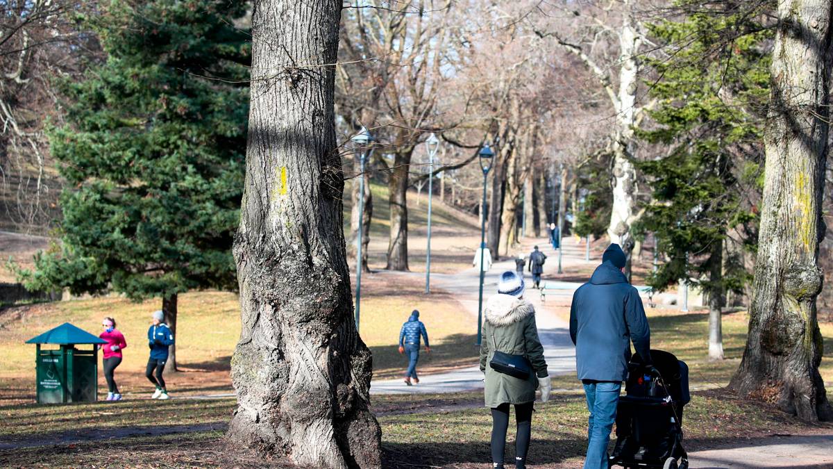 Spedbarn døde på Lillestrøm: Foreldrene varetekstfengsles i to uker