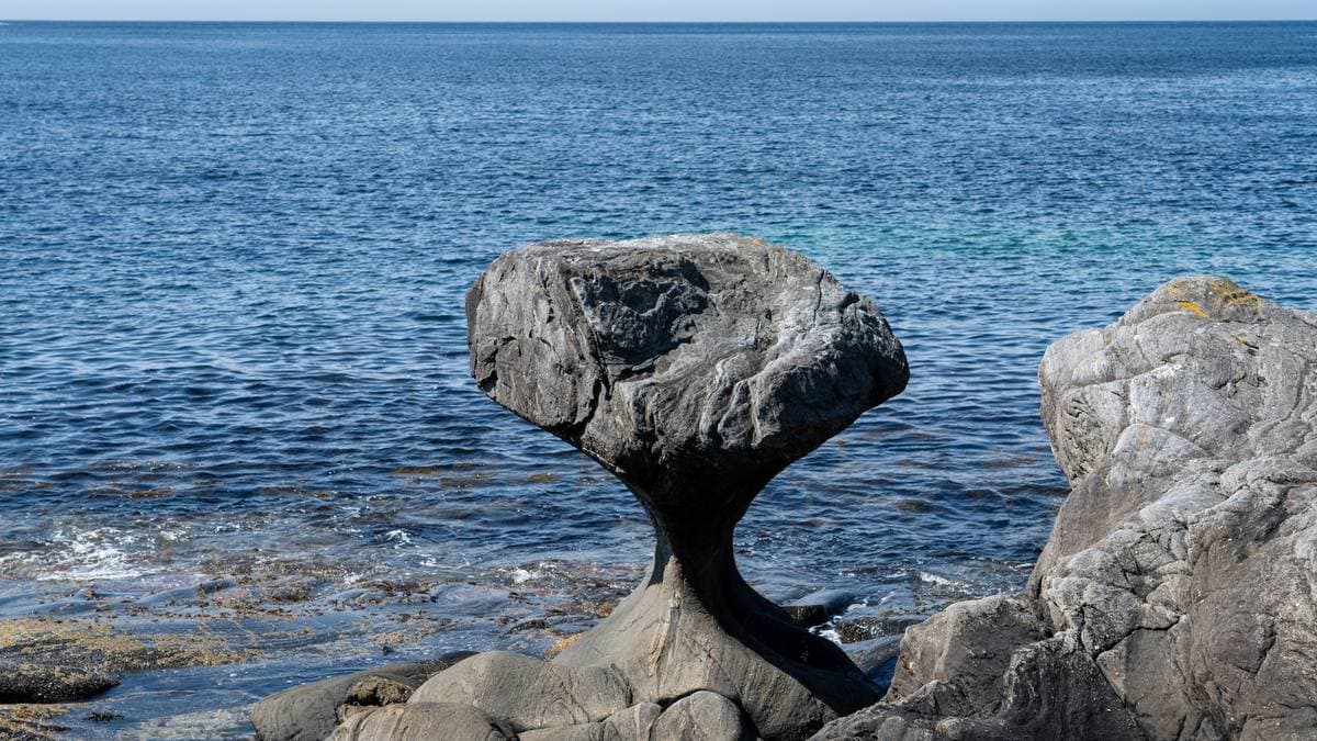 Varaordførar sende bussar på «ulovleg rute» til berømt naturperle