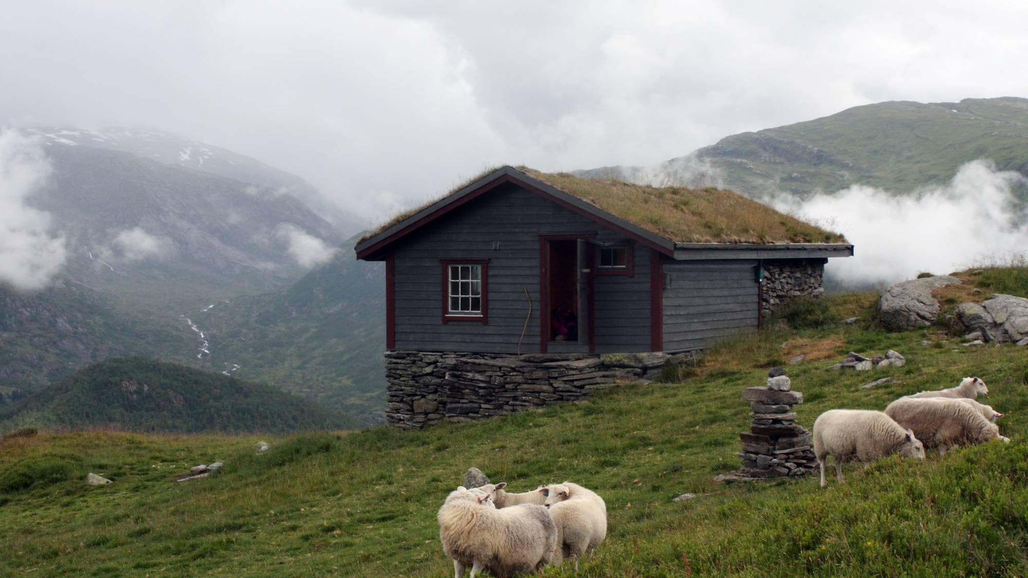 Hytte i fjellet med sau som beitar rundt.
