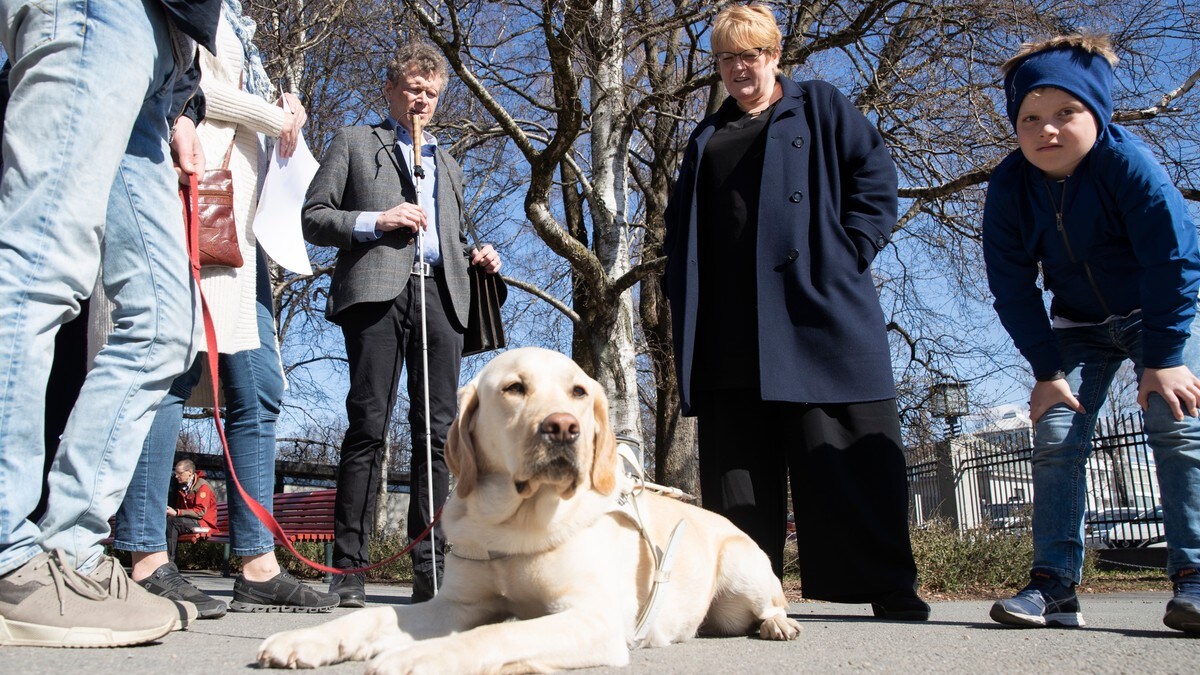 Blindeforbundet lanserer førerhundvettregler