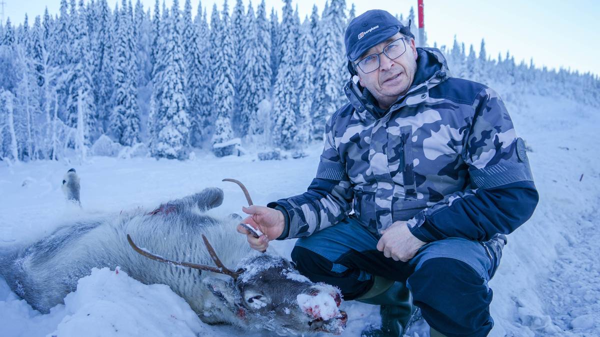 Reineier vil senke farten på E6: – Det er en blodvei