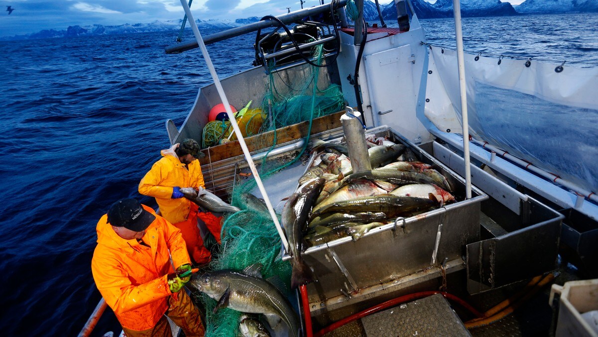 EU vil stille strengere miljøkrav til norsk fisk
