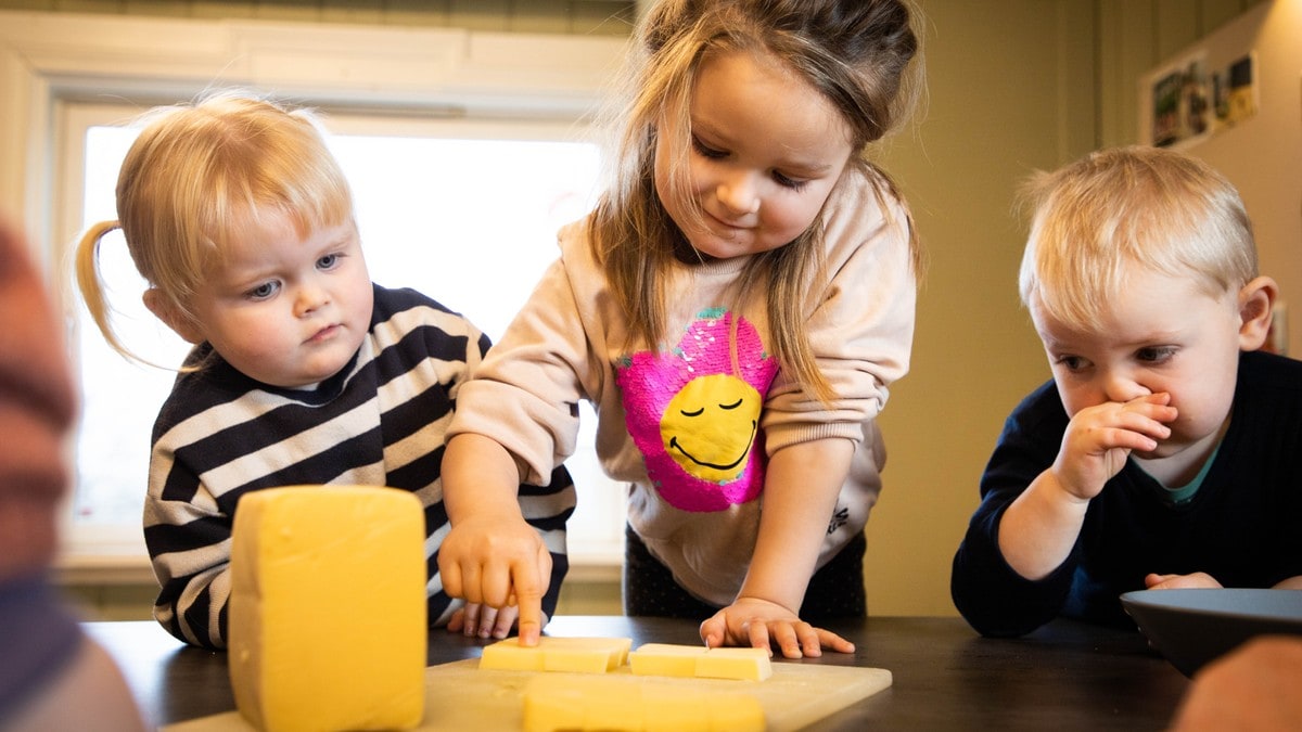 Fleire foreldre stiller matkrav i barnehagen: – Har ikkje nok kunnskap til å møte alle