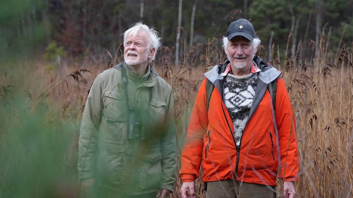 Dramatisk nedgang i beverhytter