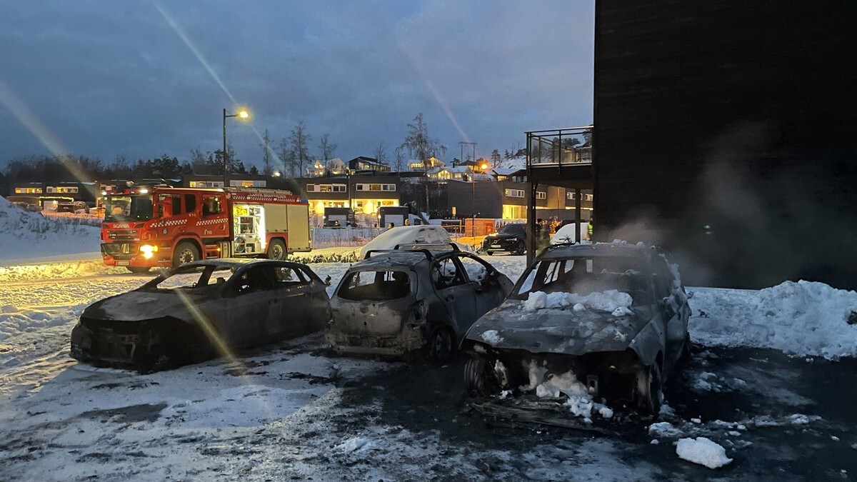 Tre biler er utbrent i nabolag i Larvik