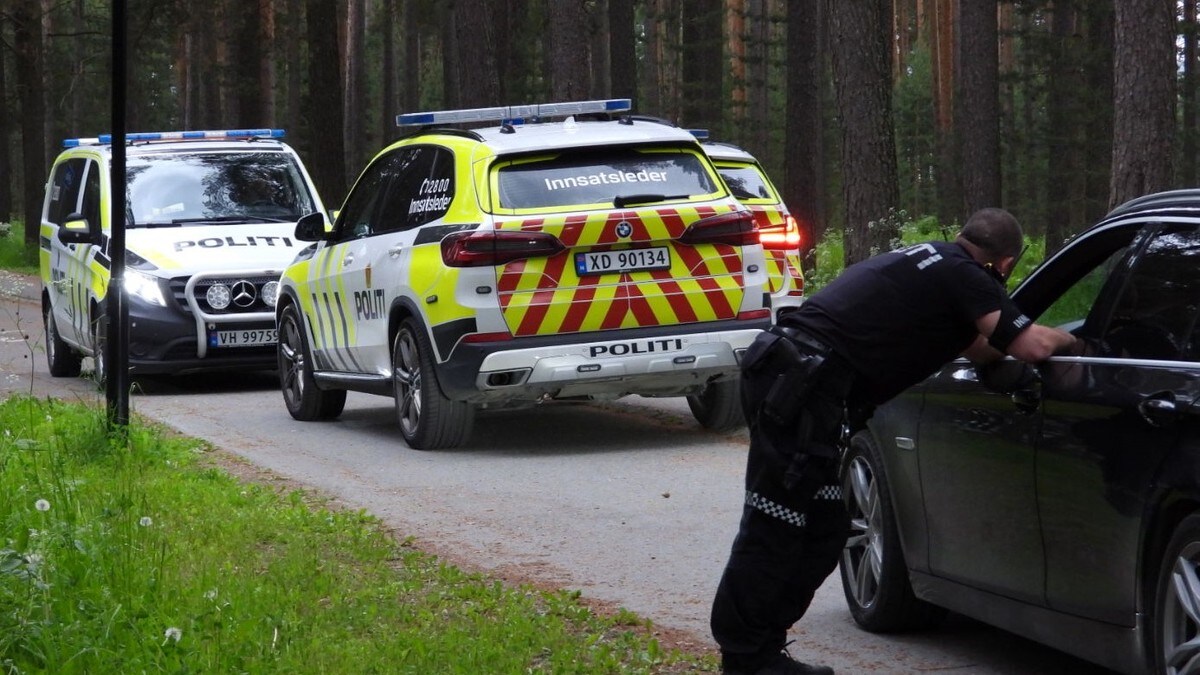 Én pågrepet etter knivstikking i Stjørdal