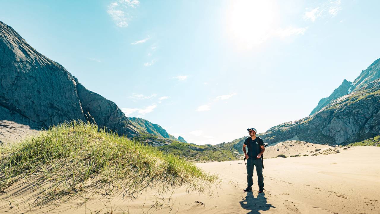 Strandrug på sanddynene