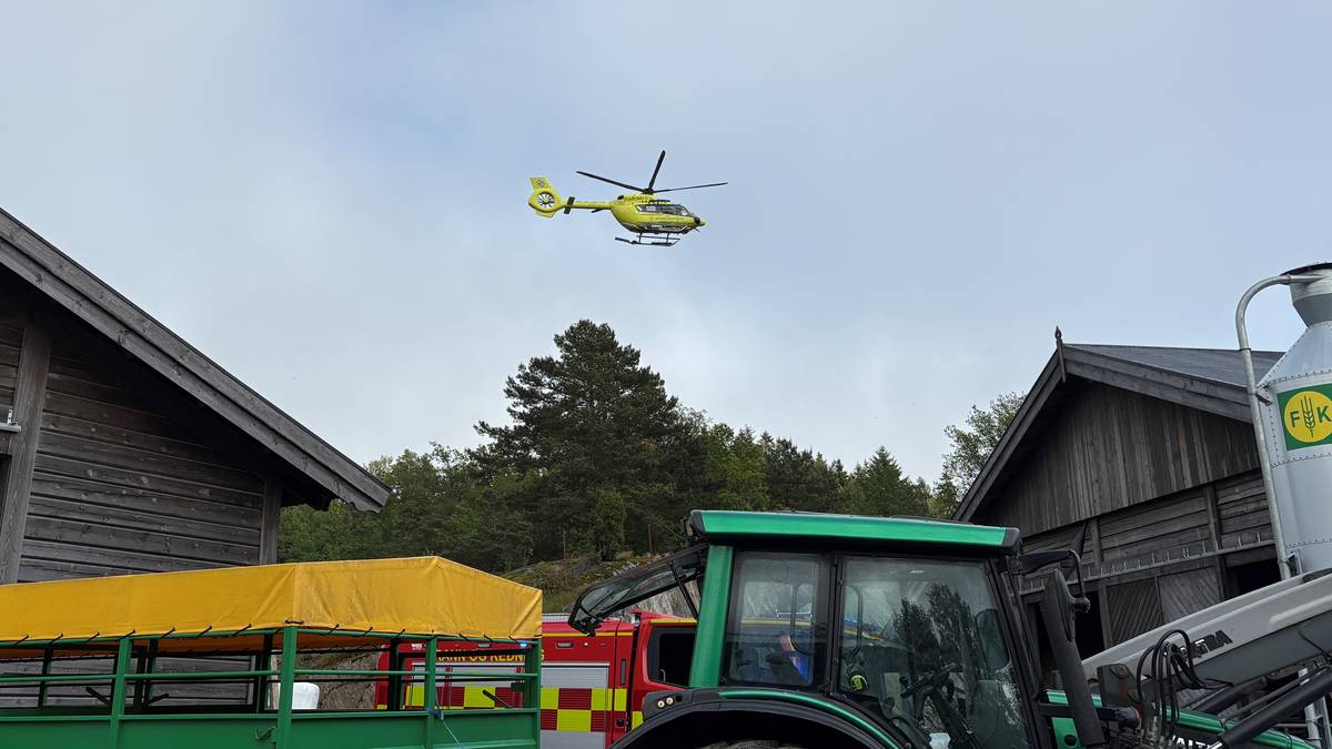 Mann død etter okseangrep