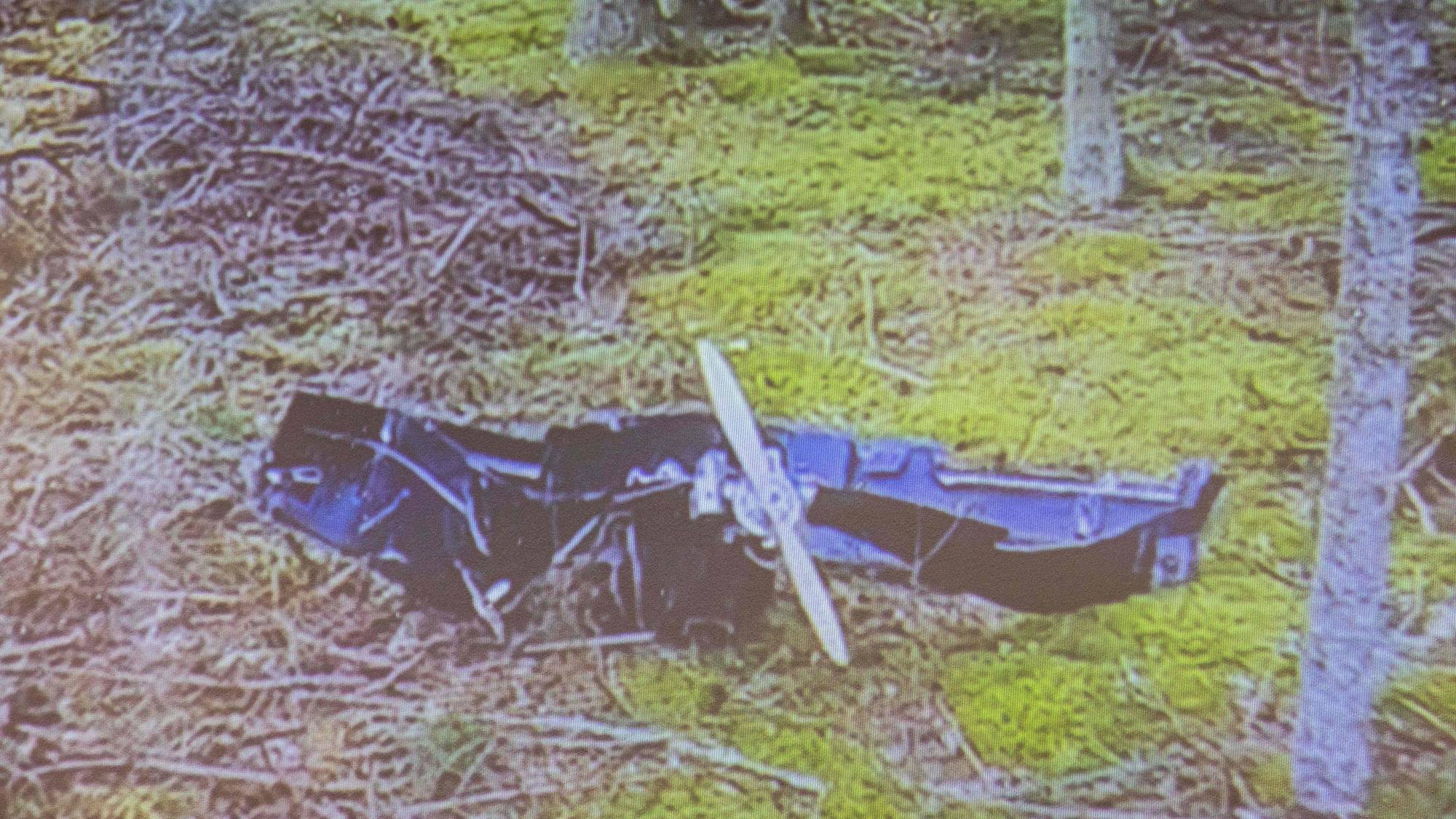 Et fly er styrtet i skogbunn. Vraket av flyet er mørkt og ligger i et skogholt med grønt gress og trær. Propellen til flyet er synlig. Bildet er uskarpt og har en vannmerking. (Bildebeskrivelsen er laget av en KI-tjeneste)