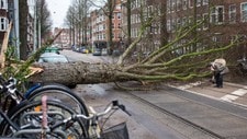 TRE TOK SCOOTER: En mann ser etter scooteren sin etter at den ble truffet av et tre under det kraftige uværet i Amsterdam, Nederland. 