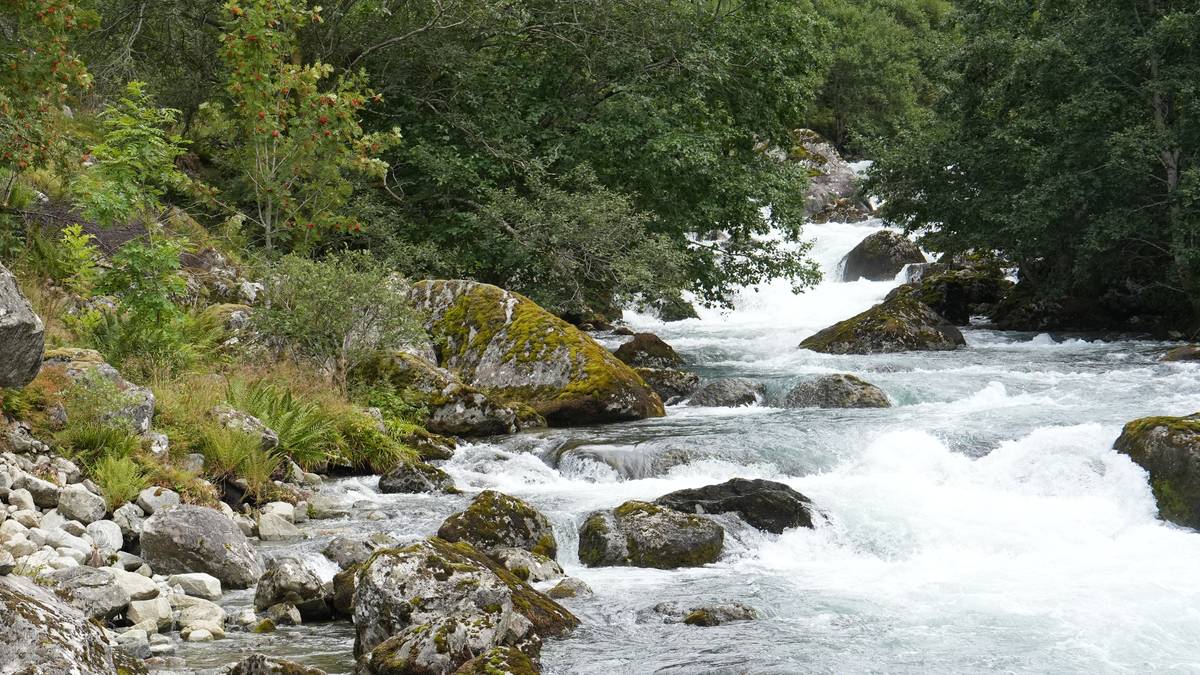 Faren hoppa i elva to gonger for å prøve å redde barnet i Kvinnherad