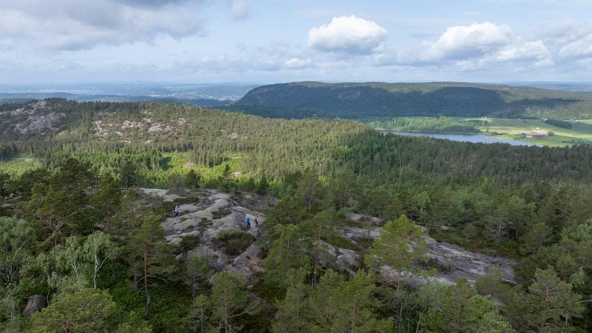 Stort skogområde må trolig vike for giga­fabrikk
