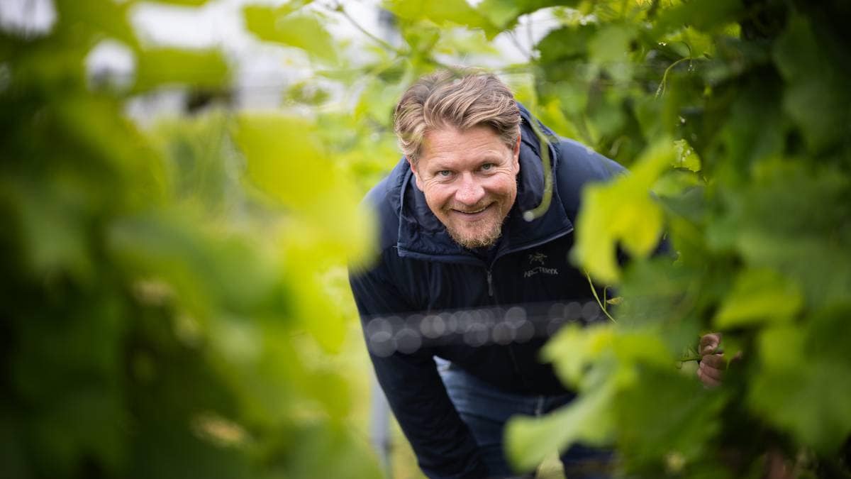 No er Noreg på vinkartet: – Eksplosiv auke