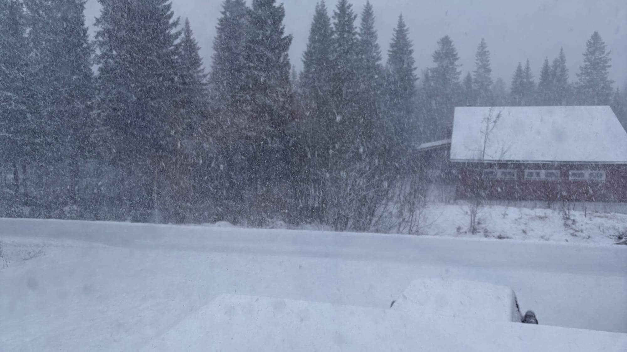 Snøfall i Namsskogan i april 