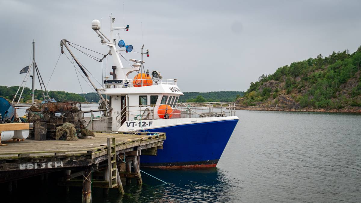 Kan ta ein generasjon før eit fiskeforbod aukar bestanden