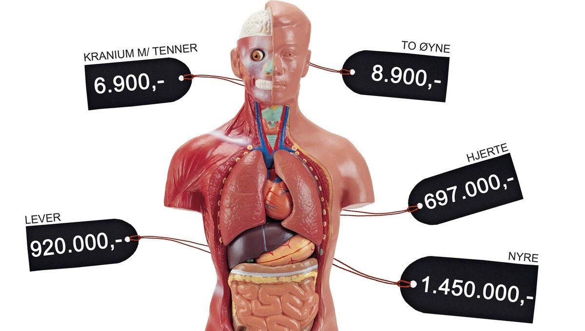 Sa Mye Koster Illegale Organer Nrk Livsstil Tips Rad Og Innsikt