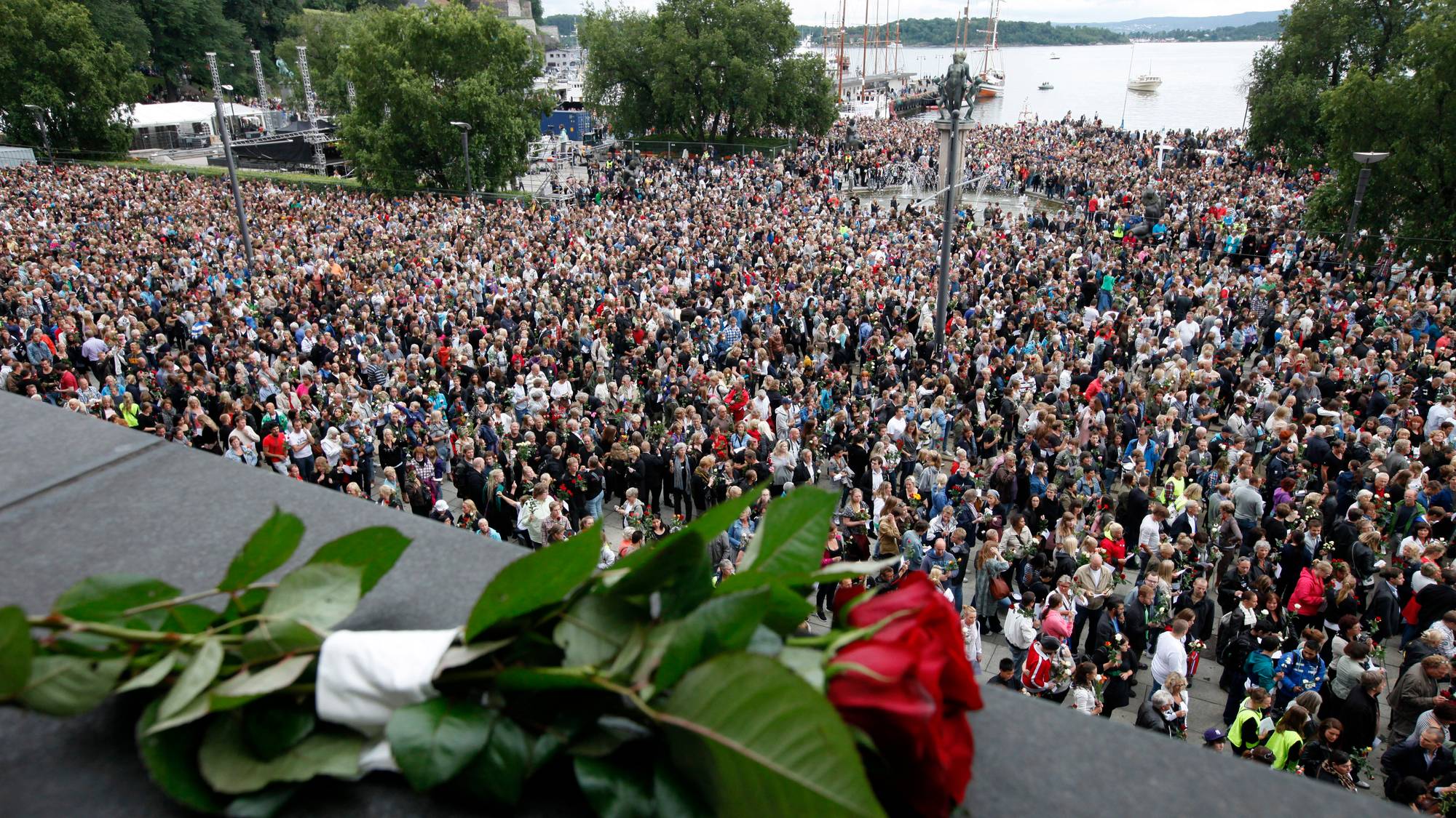 En rose og en folkemasse