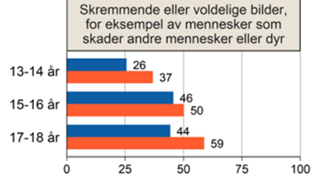 Barn og medium undersøkina 2020