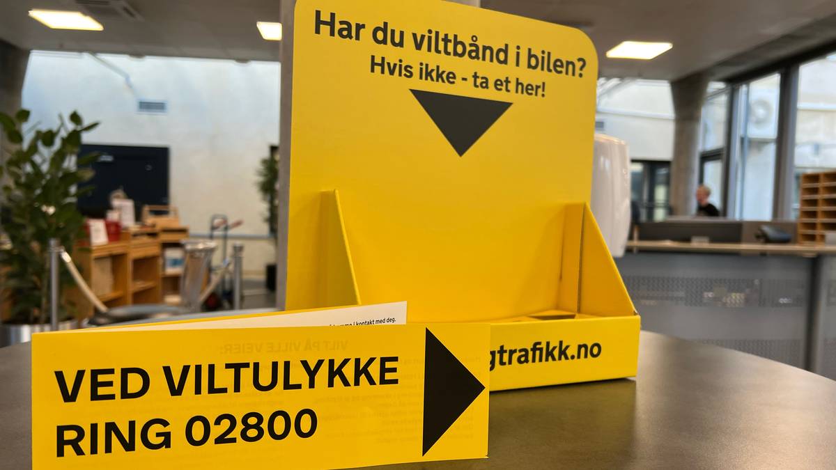 Fire viltpåkjørsler i natt