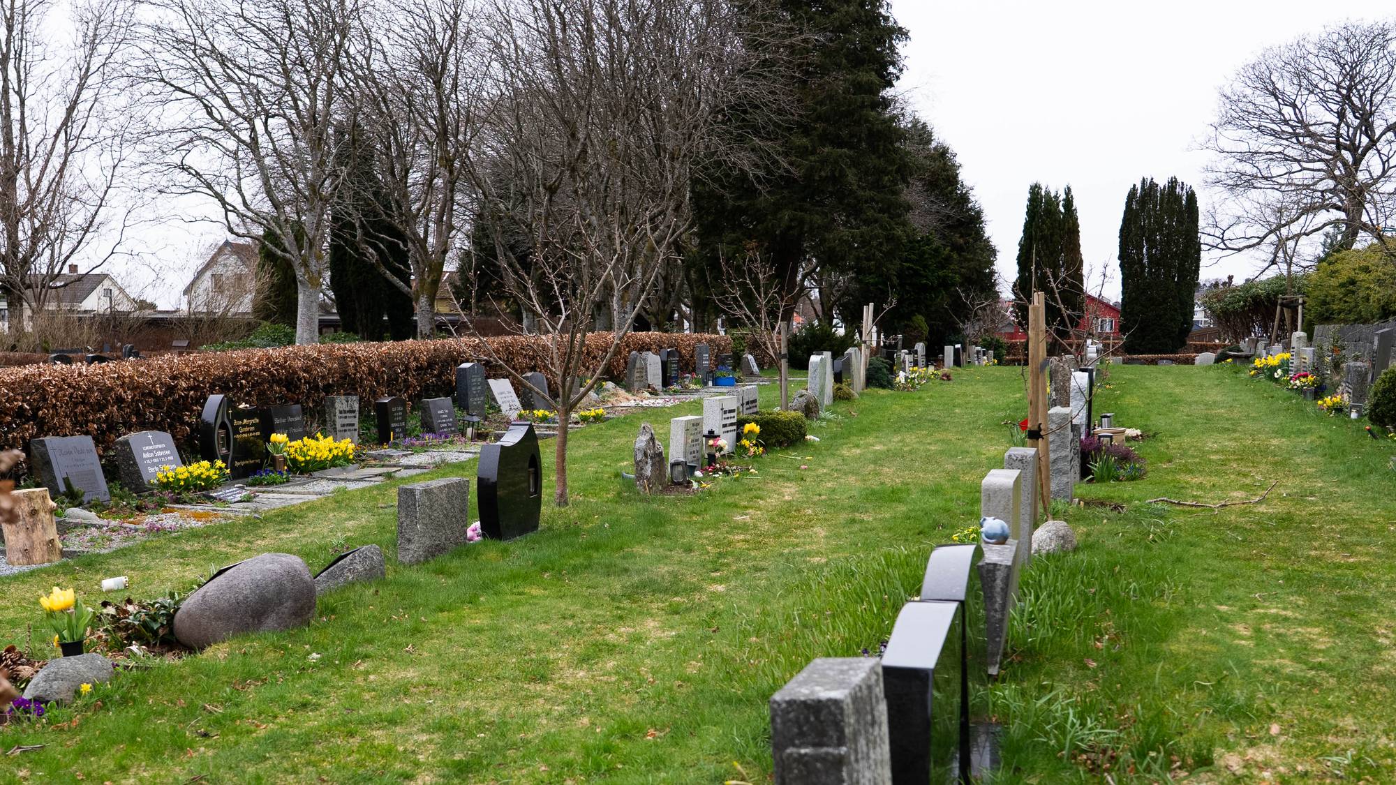 en kirkegård med mange gravsteiner (Bildebeskrivelsen er laget av en KI-tjeneste)