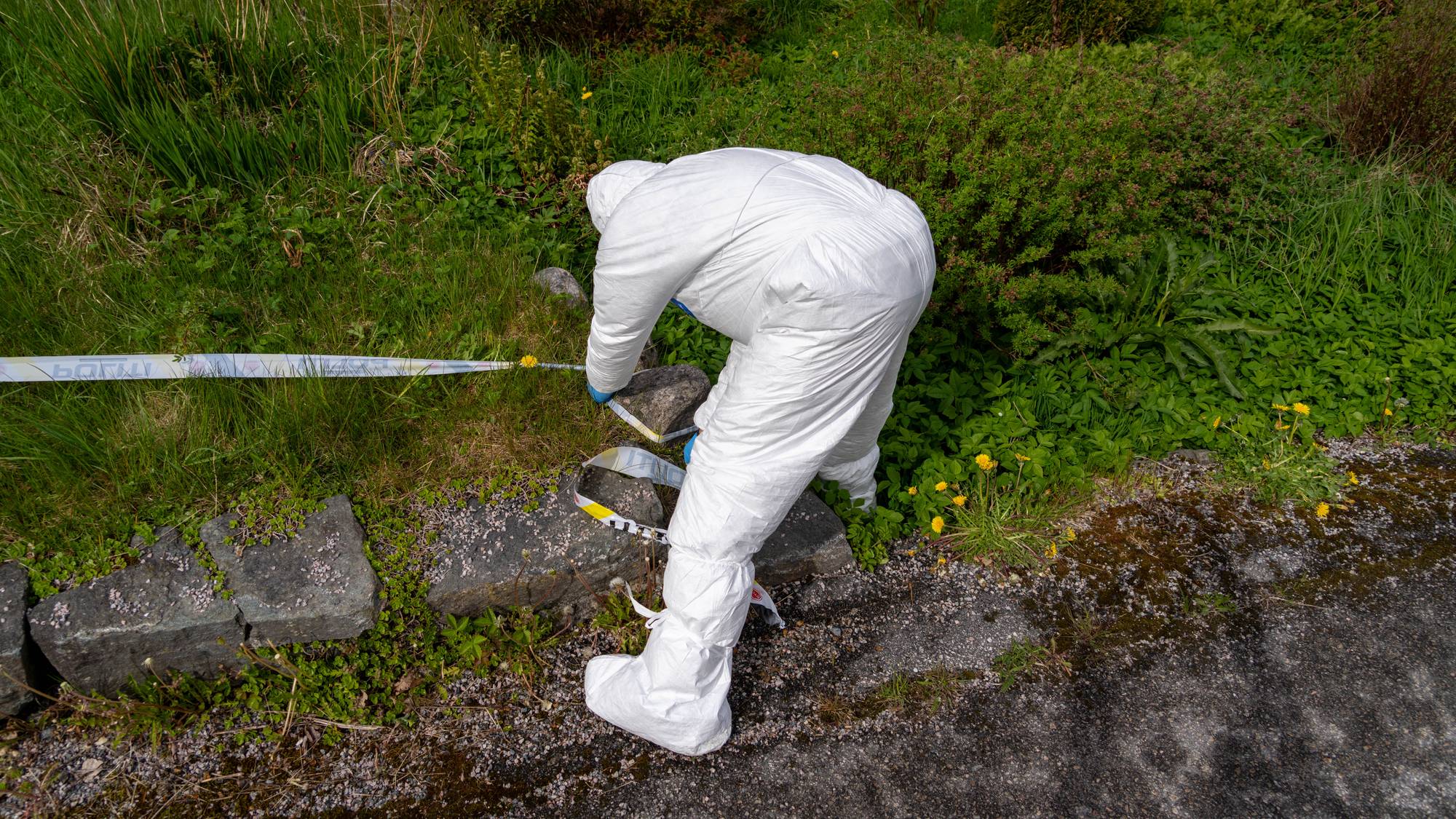 En hvitkledd politimann står bøyd ned i gresset