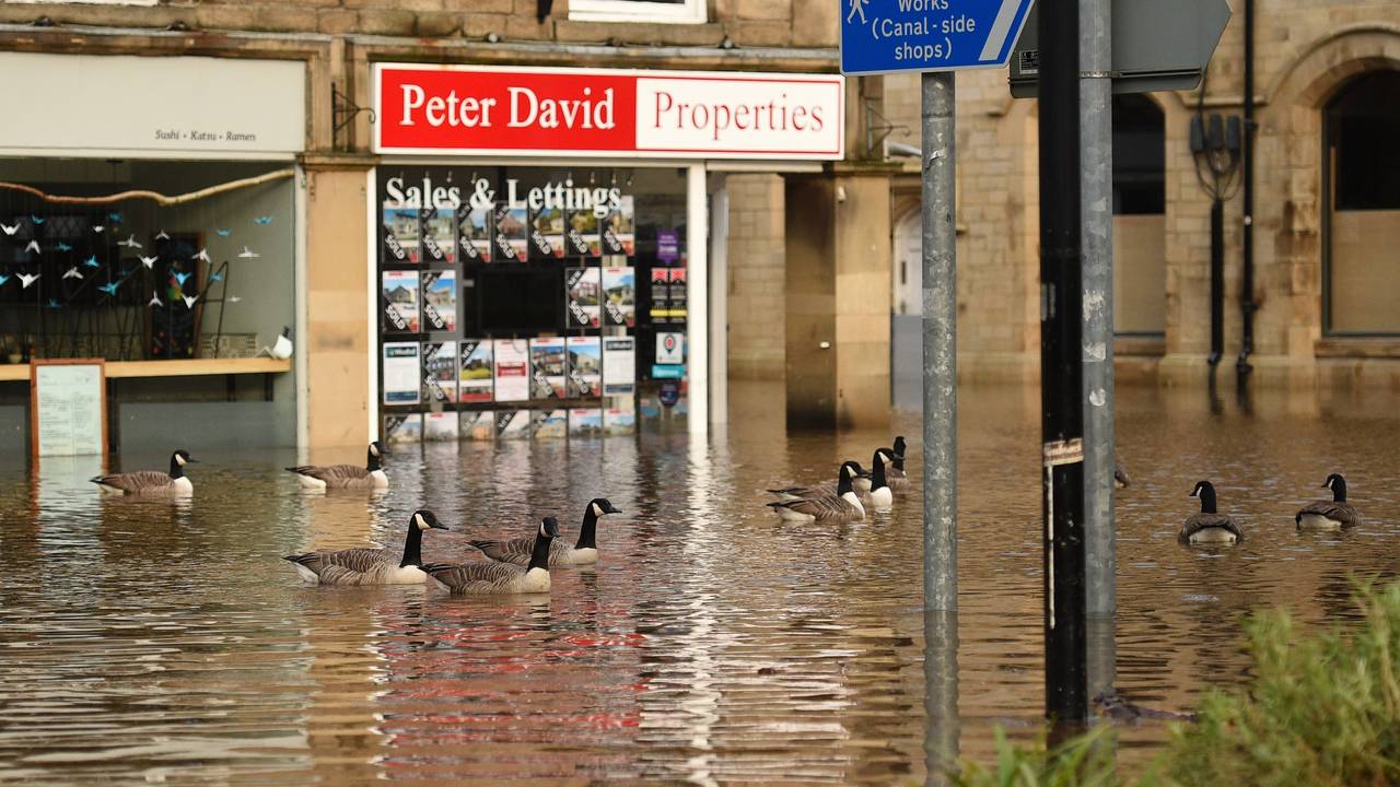 Gjess i Hebden Bridge