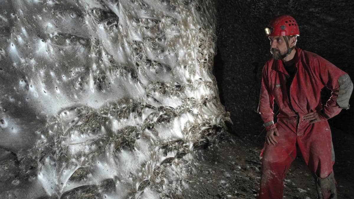 Fant spindelvev med 111.000 edderkopper