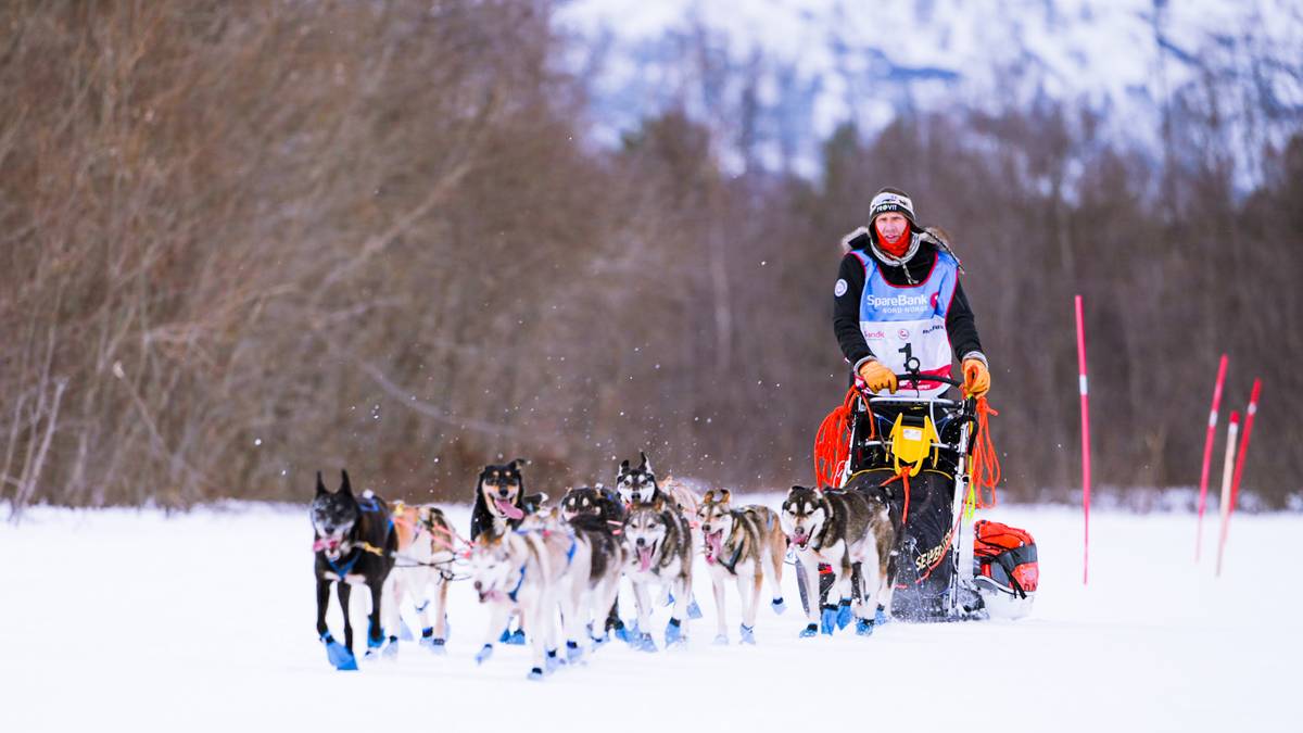 The world’s northernmost dog sled race is underway – NRK Sport – Sports news, results and broadcast schedule