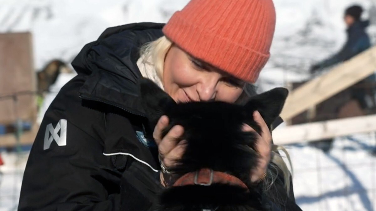 Svalbard: Lederhunden Foxi sjarmerte kronprinsparet