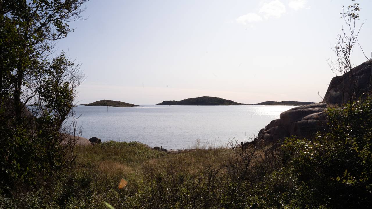 gravplass Bolærne