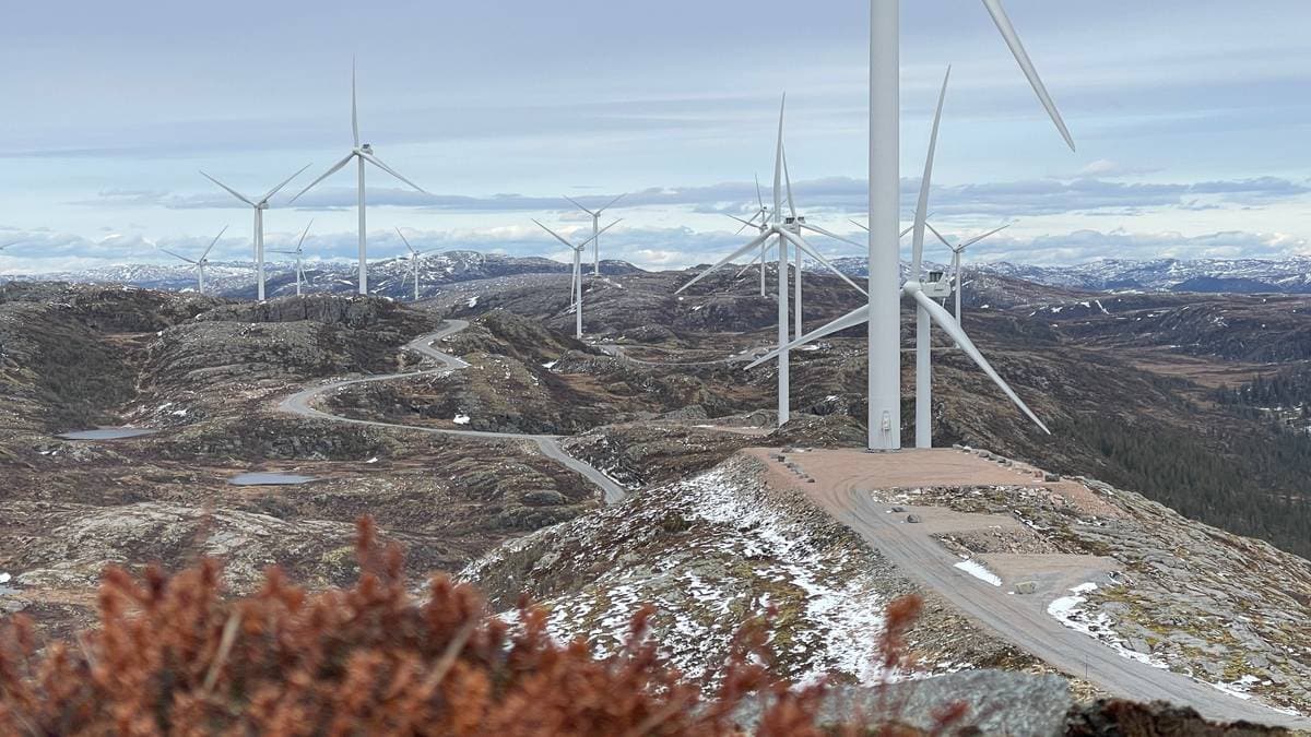 Reineier mener det haster med å få flyttet reinen – sier kun 2 av 10 kalver overlever