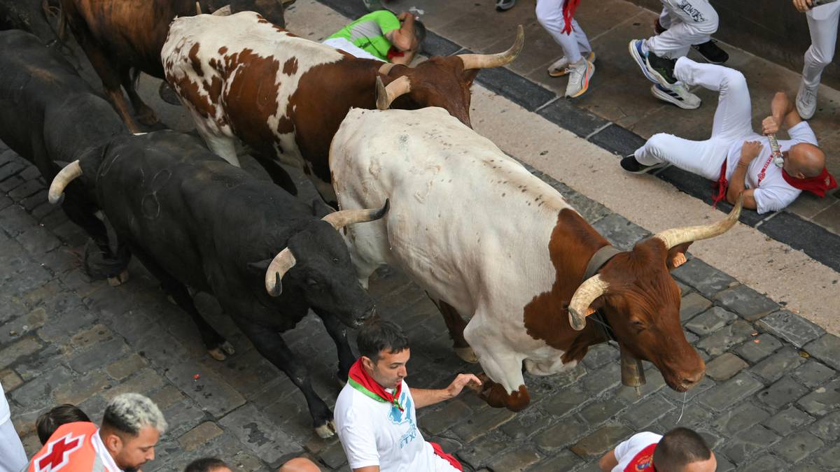 13 alvorlig skadet under okseløp i Pamplona