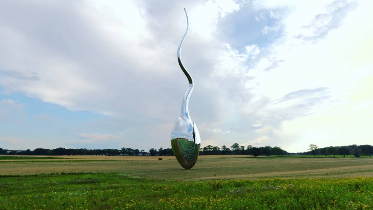 Want the world’s largest sperm cell – NRK Innlandet – Local news, TV and radio