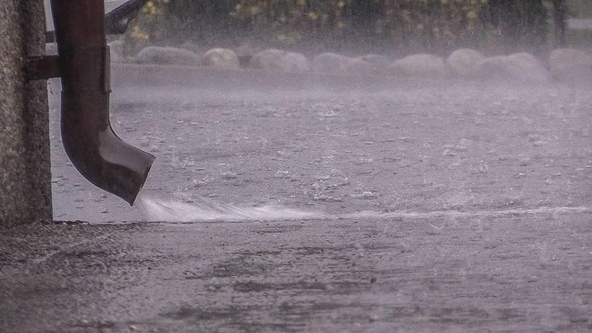 Varsler tung nedbør i Sør-Norge