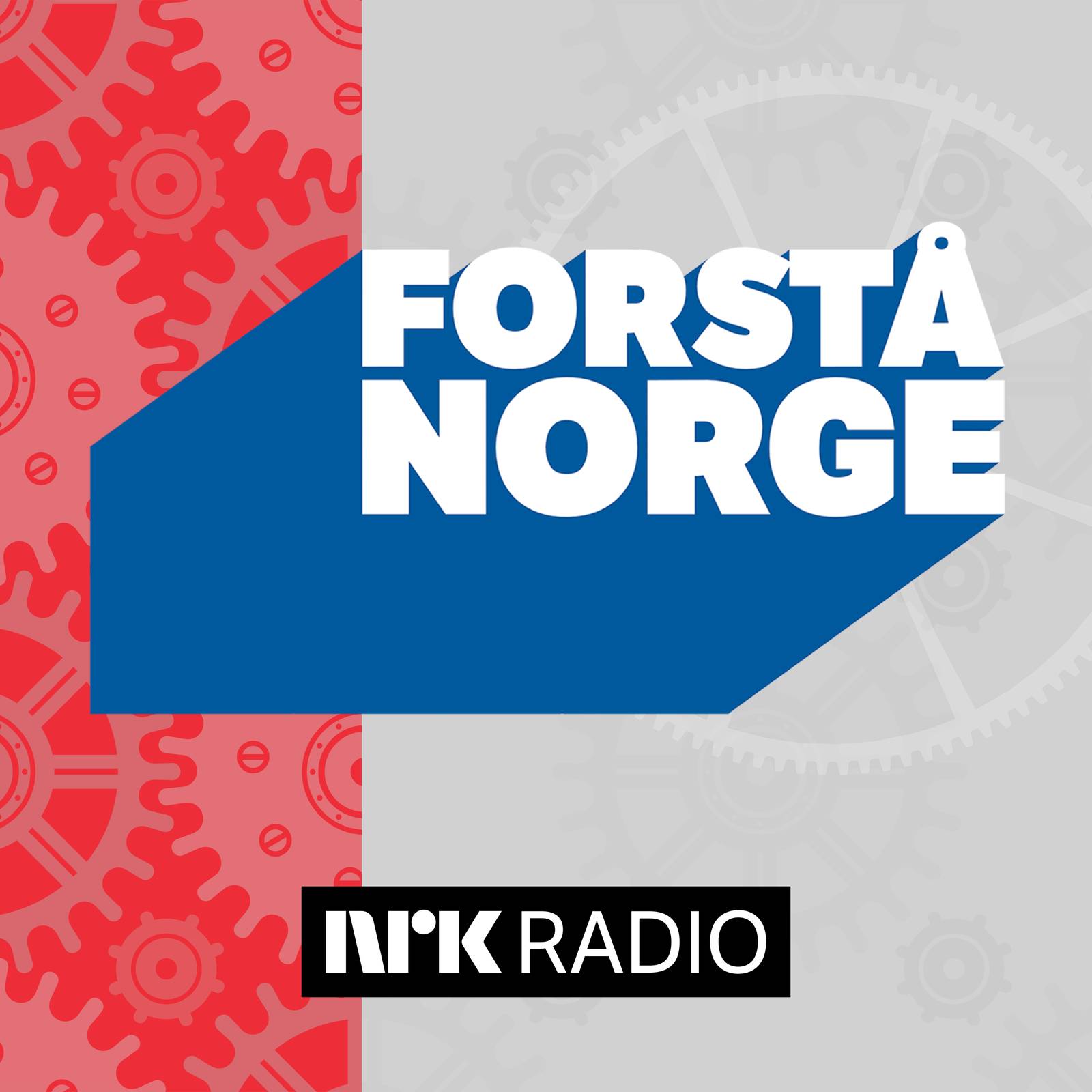 Forstå Norge