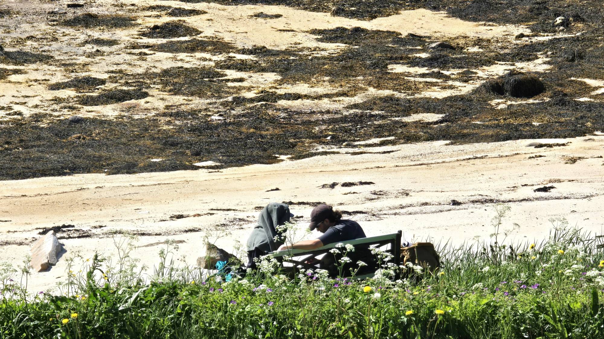 To mennesker sitter på en grønn benk på en hvit strand med blomster i forgrunn og tang i bakgrunn.