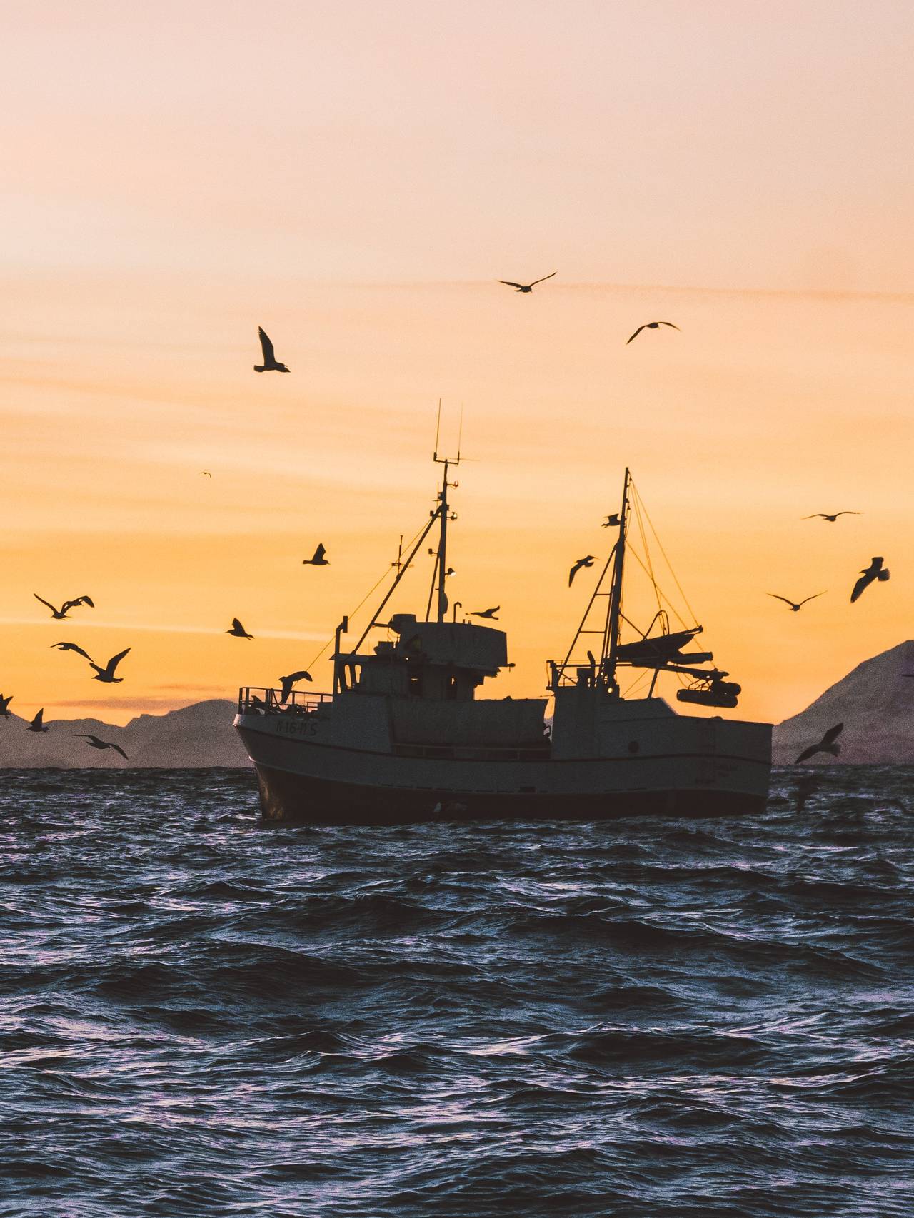Sjark i Lofoten.