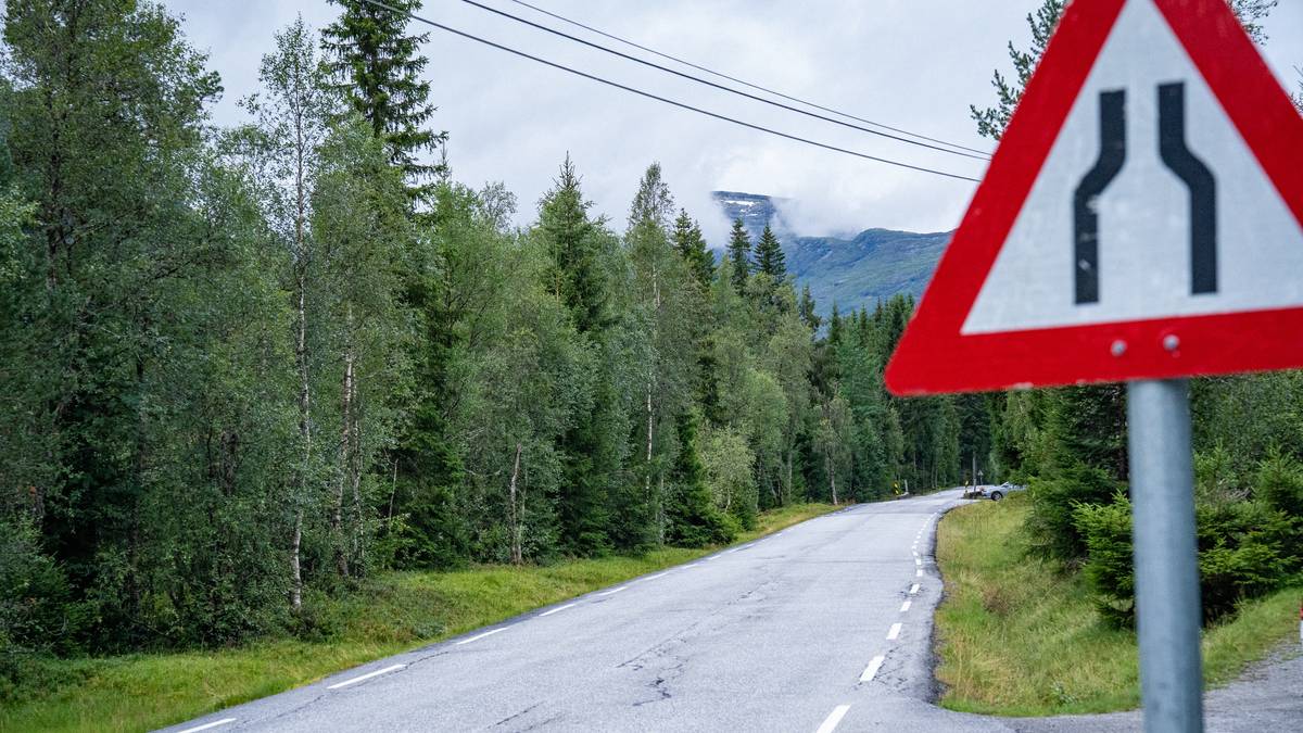 Barnefamilie var vitne til dødsulykke – måtte stå igjen i over to timar