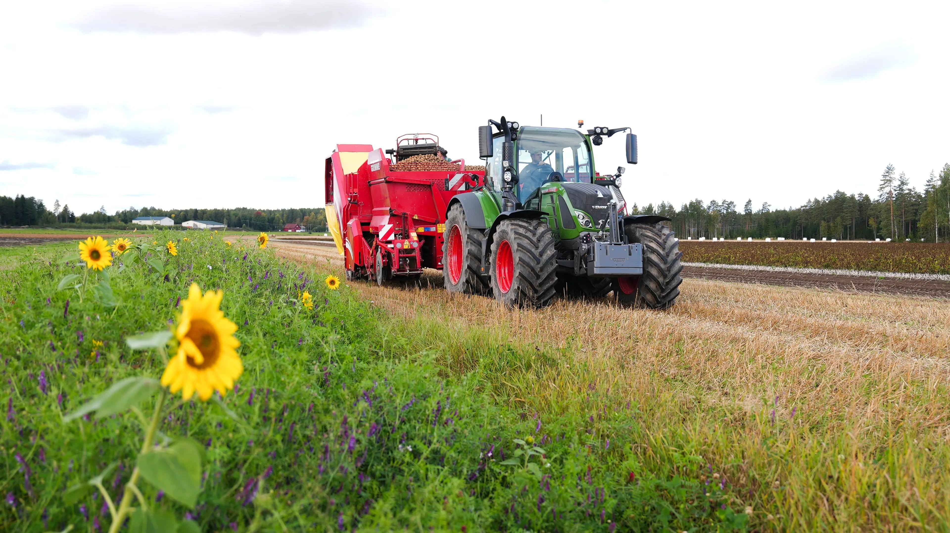 En traktor på et jorde