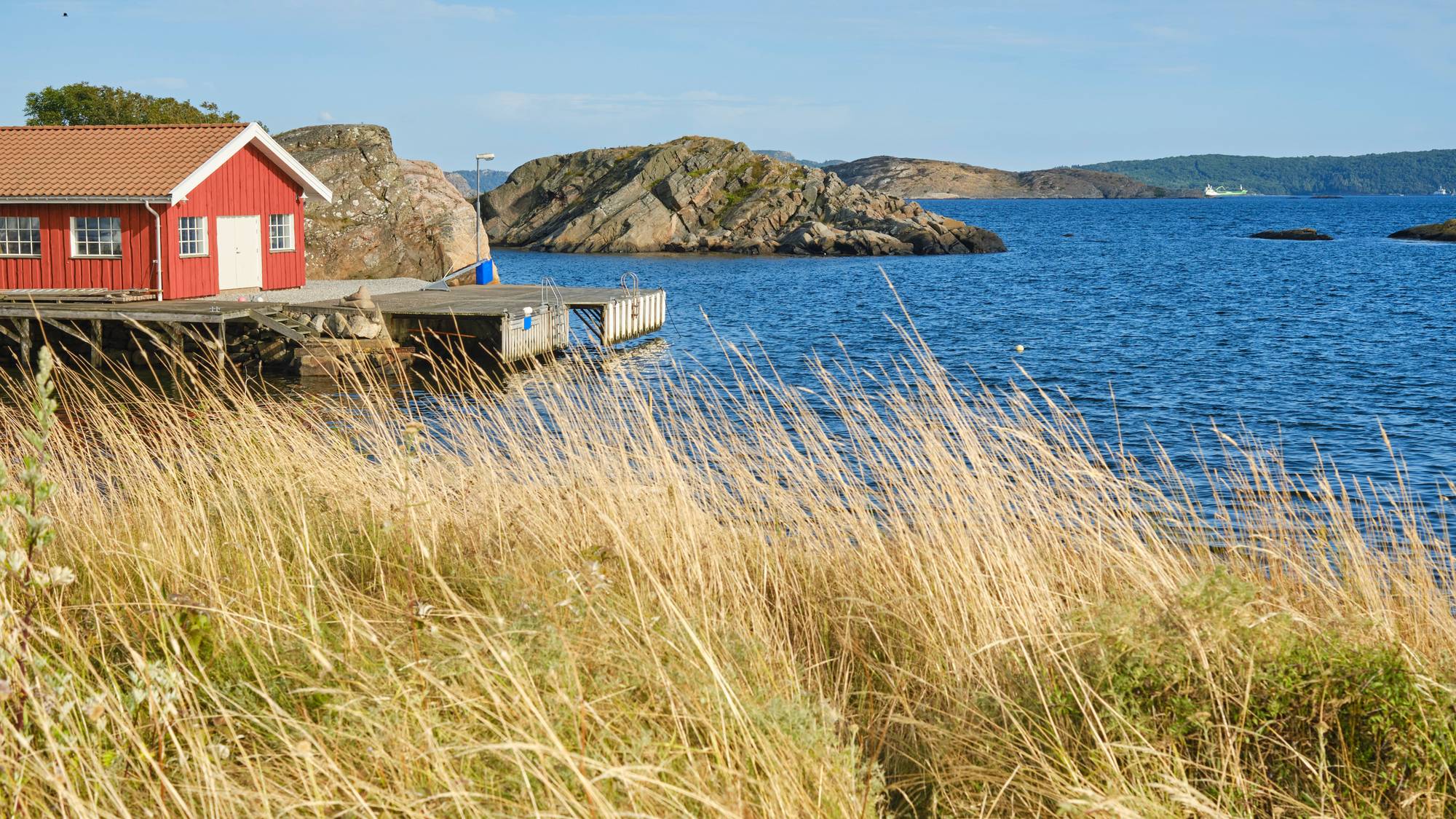 En svensk skjærgård med blått hav, siv og svaberg.